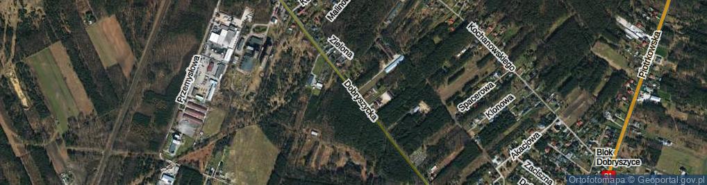 Zdjęcie satelitarne Dobryszycka ul.